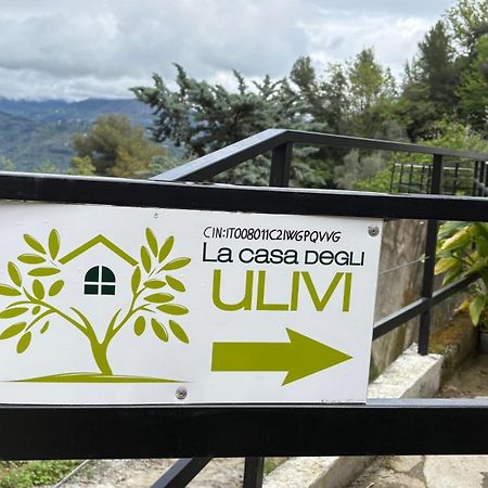 坎波罗索La Casa Degli Ulivi别墅 外观 照片